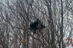 ���������� �� ����� ���������� 10 ������������� ��� �� ����� ����������� 