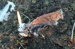 ���������� �� ����� ���������� 10 ������������� ��� �� ����� �����������