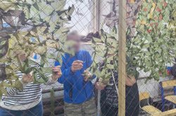 ���������� � �������������� �������, ����������� � ������ ������, �������������� � ������������� �������� �������� ���� ������