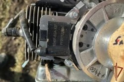 ���������� ���������� 40 ������ ��� � ��������������� ������� ���������� �������� �� ����� �����������