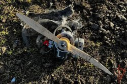 ���������� ���������� 40 ������ ��� � ��������������� ������� ���������� �������� �� ����� �����������