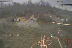 ���������� ���������� 40 ������ ��� � ��������������� ������� ���������� �������� �� ����� �����������