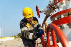 ������������� ������ � ������� ����� 9 ���� ������ �������  ����������������� �� ��������� ������������� ��������