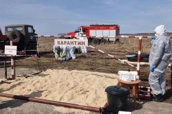 ���������� ������������ ������ ������ ������� ������� � ������������ ������� �� ���������� ��������� ����� ��������� ����