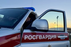 Буйный гость из Приморья задержан росгвардейцами в гостинице Магадана