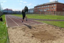 � ������� �������������� ������� ���������� XVII ������������� ����������� ������������������ ����������
