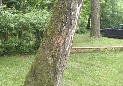 � ������������� ������� ��������� ������� ������ ������������� �������� ��������������� ������������ ��������� ����������