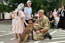 � ��������� ���������� ������������ ����������� ����� � ���������� ��������� ���������