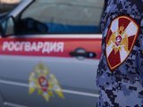 В Шпаковском округе росгвардейцы задержали граждан, похитивших товар из торговой точки В Шпаковском округе росгвардейцы задержали граждан, похитивших товар из торговой точки