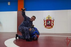 � ������ ��������� ����� �������������� �������� ������� �� ��������� ����� ����������� ���������������� ������ ����������
